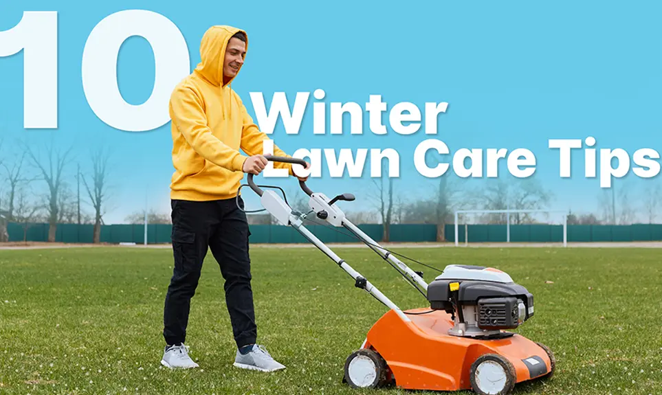Winter Lawn Care Checklist for Lawn Care Technicians