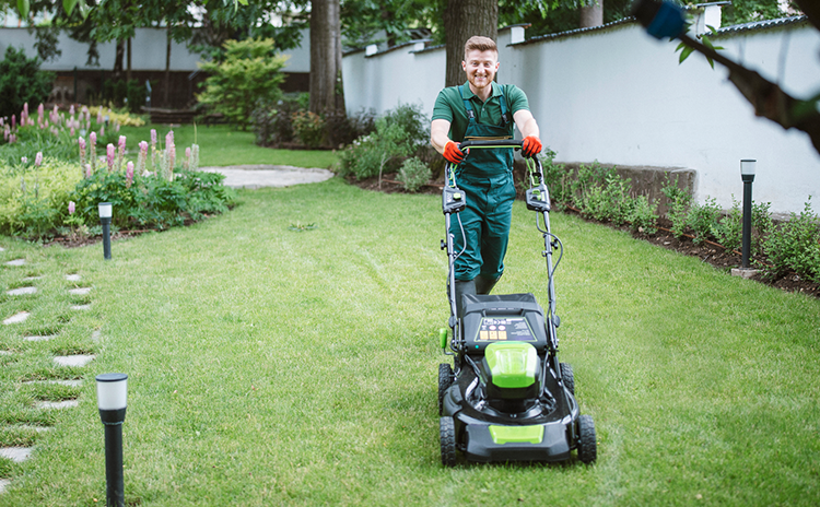 Lawn Aeration Service Near Me Walnut thumbnail